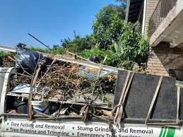 Best Attic Cleanout  in Bray, OK